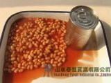 Canned White Beans in Tomato Sauce