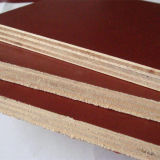Eucalyptus Core Film Faced Plywood for Sale
