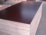 Melamine Glue Film Faced Plywood (15mm)