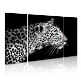 Leopard Animal Painting for Wall Canvas Decoration
