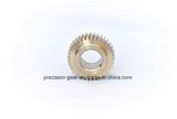 Brass Worm Gear, Worm Wheel