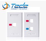 Network USA Faceplate