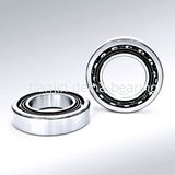 Angular Contact Ball Bearing (7004)