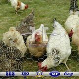 Hexagonal Chicken Wire Mesh