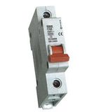 Miniature Circuit Breaker (MCB) (BKN)