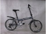 Adult Foldable Bicycle