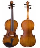 Popular Grade Violin (VLA-8(4/4~1/12))