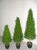 Cone Topiary