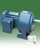 Gear Reducer Motor