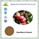 GMP Factory Supply The Hawthorn Leaf/Fruit Extract Powder