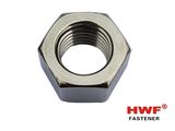 Hex Nut