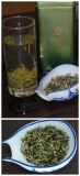 Chinese Speciality 100% Natural Green Tea Antioxidant Snow Bud Green Tea Hgt201