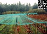 Meyabond Agriculture Net, Anti Insect Net