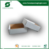 White Paperboard Display Box with Top and Bottom