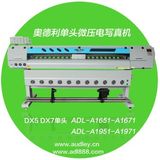 Sublimation / Ecosolvent Ink Printer