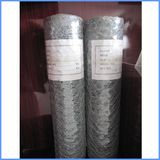 Galvanized Hexagonal Wire Mesh Netting