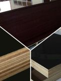 High Quality Marine Plywood, Shuttering Plywood, Film Faced Plywood