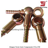 Hydraulic Fitting for Hose Fitting Metric Banjo