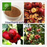 Hawthorn Extract, Hawthorn Fruit Extract, Hawthorn Fruit P. E.