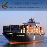 Competitive Shipping Agent From China to Cordoba, Argentina