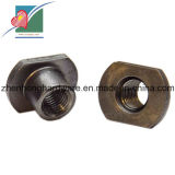 Stainless Steel T Type Nut (ZH-FB-011)