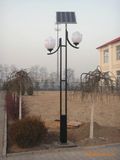 Brsgl089 Efficiency Solar LED Garden Light