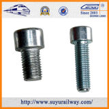 Suyu Carbon Steel Track Bolts in Railroad