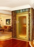 Passenger Elevator Without Machine Room for Home, House, Villa