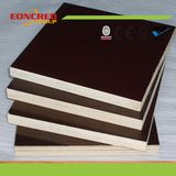 Film Faced Shuttering Birch Plywood