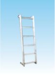Stainless Steel Vertical Ladder
