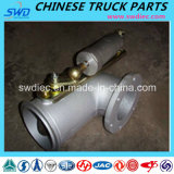 Genuine Exhaust Pipe for Sinotruk Truck Spare Part (Wg9632540070)