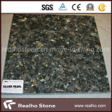 Indian Natural High Polished Silver Pearl Granite