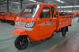China Three Wheel Car Tricycle with Cabin