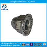 Stainless Steel Flange Hex Cap Nuts/Flange Acron Cap Nuts