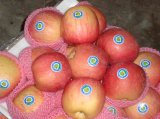 Sweet Fresh Fiji Apples