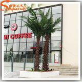 Square Decorative Artificial Washington Palm Tree