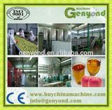 Complete Clear Apple Juice Process Plant