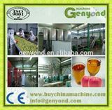 Complete Clear Apple Juice Process Plant