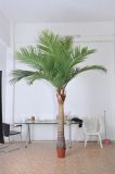Artificial Plants and Flowers of Coco Palm 280cm (GU-BJ-831-9)
