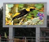 P16 Full Color Outdoor LED Display of Ads