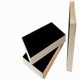 Construction Plywood /Black Film Faced Plywood