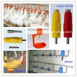 Automatic Poultry Control Shed Equipment Nipple Drinker