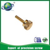 OEM Supplier Supply High Quality Specialty Fasteners
