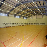Pre Engineering Recreation Steel Structure House for Sports Center(Lwy-Ss2470
