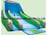 Large Inflatable Slide