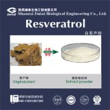 98% 99% Resveratrol Giant Knotweed Extract, Polygonum Cuspidtum Extract