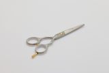 Hair Scissors (U-260)