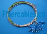 12 Fiber 900u Single Mode 9/125 Pigtail (12C9PT)