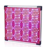 High Power LED Grow Light/LED Lighting