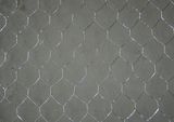 Hexagonal Wire Mesh